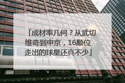 成材率几何？从武切维奇到申京，16顺位走出的球星还真不少