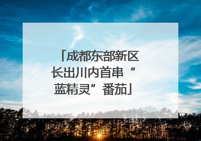 成都东部新区长出川内首串“蓝精灵”番茄