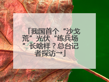 我国首个“沙戈荒”光伏“练兵场”长啥样？总台记者探访→