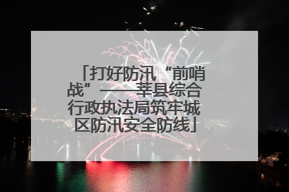 打好防汛“前哨战”——莘县综合行政执法局筑牢城区防汛安全防线