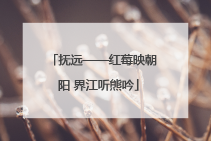 抚远——红莓映朝阳 界江听熊吟