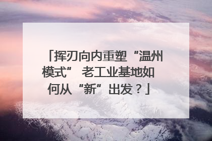 挥刃向内重塑“温州模式” 老工业基地如何从“新”出发？