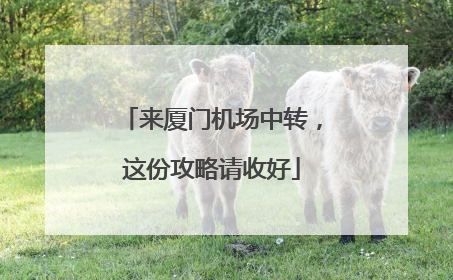 来厦门机场中转，这份攻略请收好