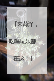 来菏泽，吃喝玩乐都在这！