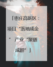 枣庄高新区：项目“落地成金” 产业“聚链成群”