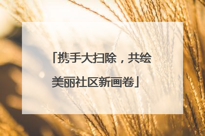 携手大扫除，共绘美丽社区新画卷