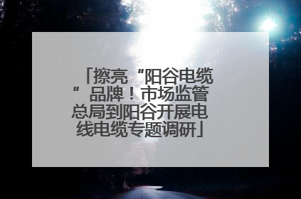 擦亮“阳谷电缆”品牌！市场监管总局到阳谷开展电线电缆专题调研
