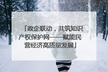 政企联动，共筑知识产权保护网——赋能民营经济高质量发展