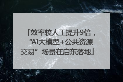 效率较人工提升9倍，“AI大模型+公共资源交易”场景在启东落地