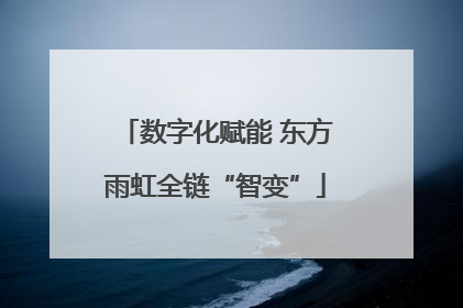 数字化赋能 东方雨虹全链“智变”