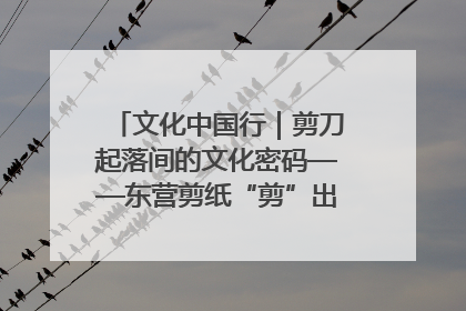 文化中国行｜剪刀起落间的文化密码——东营剪纸“剪”出非遗传承与现代生活的融合之道