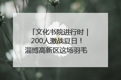 文化书院进行时｜200人激战夏日！淄博高新区这场羽毛球比赛太酷