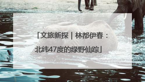 文旅新探｜林都伊春：北纬47度的绿野仙踪