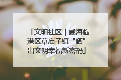 文明社区｜威海临港区草庙子镇“晒”出文明幸福新密码