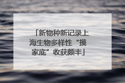 新物种新记录上海生物多样性“摸家底”收获颇丰