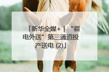 新华全媒+｜“疆电外送”第三通道投产送电 (2)