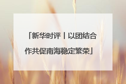 新华时评丨以团结合作共促南海稳定繁荣