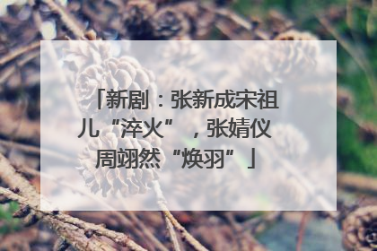 新剧:张新成宋祖儿“淬火”,张婧仪周翊然“焕羽”