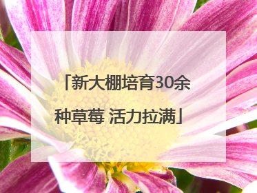 新大棚培育30余种草莓 活力拉满