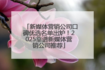 新媒体营销公司口碑优选名单出炉！2025靠谱新媒体营销公司推荐