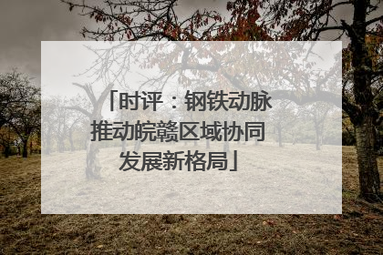 时评：钢铁动脉推动皖赣区域协同发展新格局