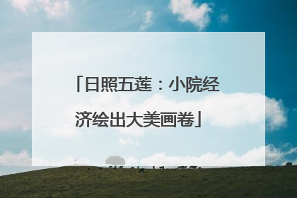 日照五莲：小院经济绘出大美画卷