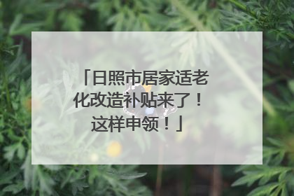日照市居家适老化改造补贴来了！这样申领！