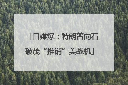 日媒爆：特朗普向石破茂“推销”美战机
