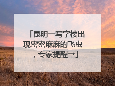昆明一写字楼出现密密麻麻的飞虫，专家提醒→