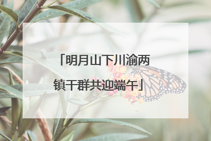 明月山下川渝两镇干群共迎端午