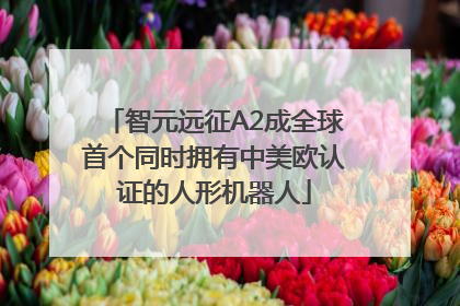 智元远征A2成全球首个同时拥有中美欧认证的人形机器人