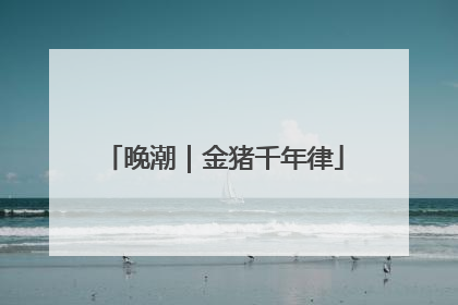 晚潮｜金猪千年律