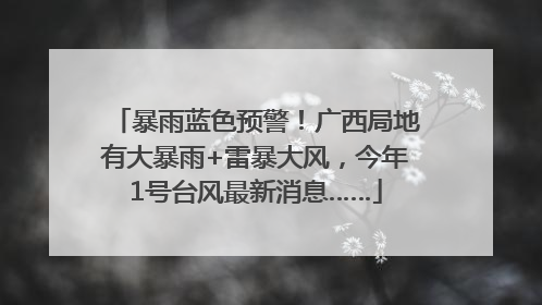 暴雨蓝色预警！广西局地有大暴雨+雷暴大风，今年1号台风最新消息……
