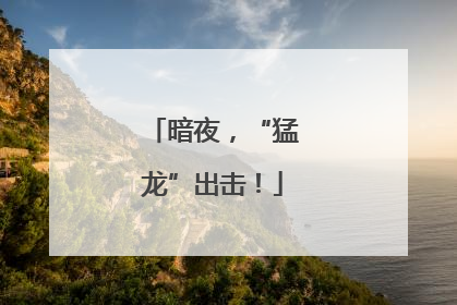 暗夜，“猛龙”出击！