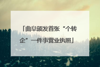 曲阜颁发首张“个转企”一件事营业执照