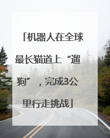 机器人在全球最长猫道上“遛狗”，完成3公里行走挑战