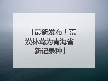 最新发布！荒漠林莺为青海省新记录种