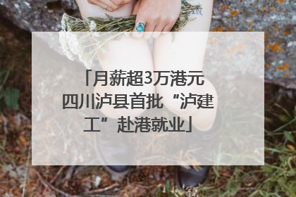月薪超3万港元 四川泸县首批“泸建工”赴港就业