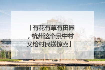 有花有草有田园，杭州这个景中村又给村民送惊喜
