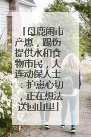 母鹿闹市产崽，踢伤提供水和食物市民，大连动保人士：护崽心切，正在想法送回山里
