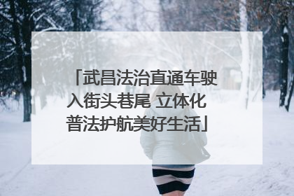 武昌法治直通车驶入街头巷尾 立体化普法护航美好生活