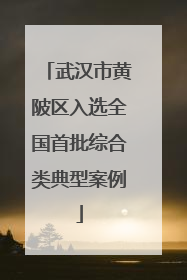 武汉市黄陂区入选全国首批综合类典型案例