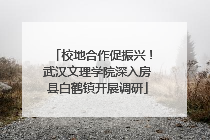校地合作促振兴！武汉文理学院深入房县白鹤镇开展调研