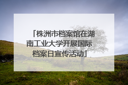 株洲市档案馆在湖南工业大学开展国际档案日宣传活动