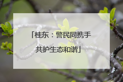 桂东：警民同携手 共护生态和谐