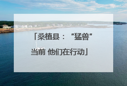 桑植县：“猛兽”当前 他们在行动