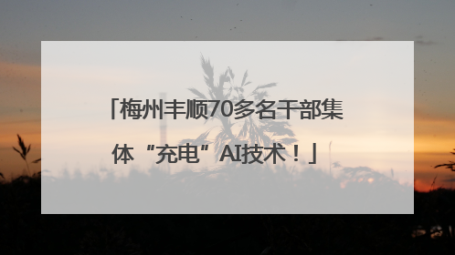 梅州丰顺70多名干部集体“充电”AI技术！