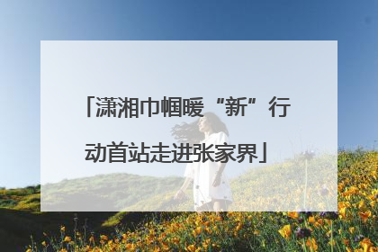 潇湘巾帼暖“新”行动首站走进张家界