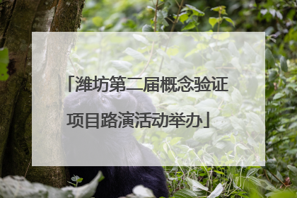 潍坊第二届概念验证项目路演活动举办
