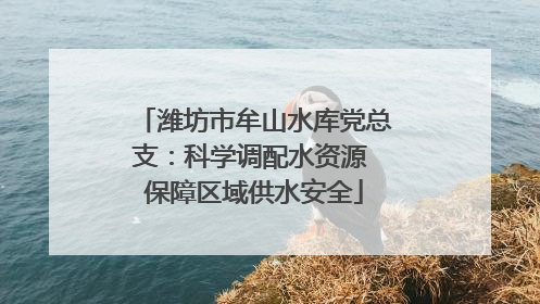 潍坊市牟山水库党总支：科学调配水资源 保障区域供水安全